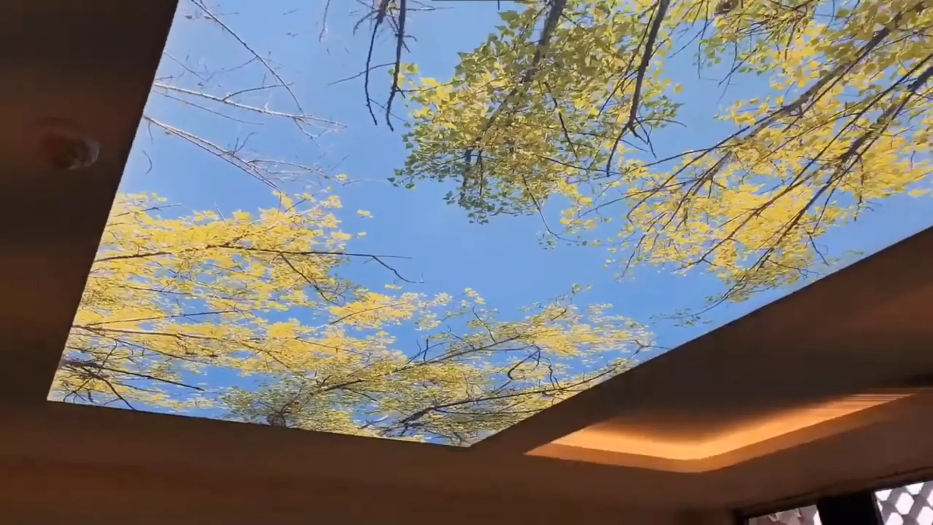 Нижний Новгород, Агрономическая, 132/35, фото 3